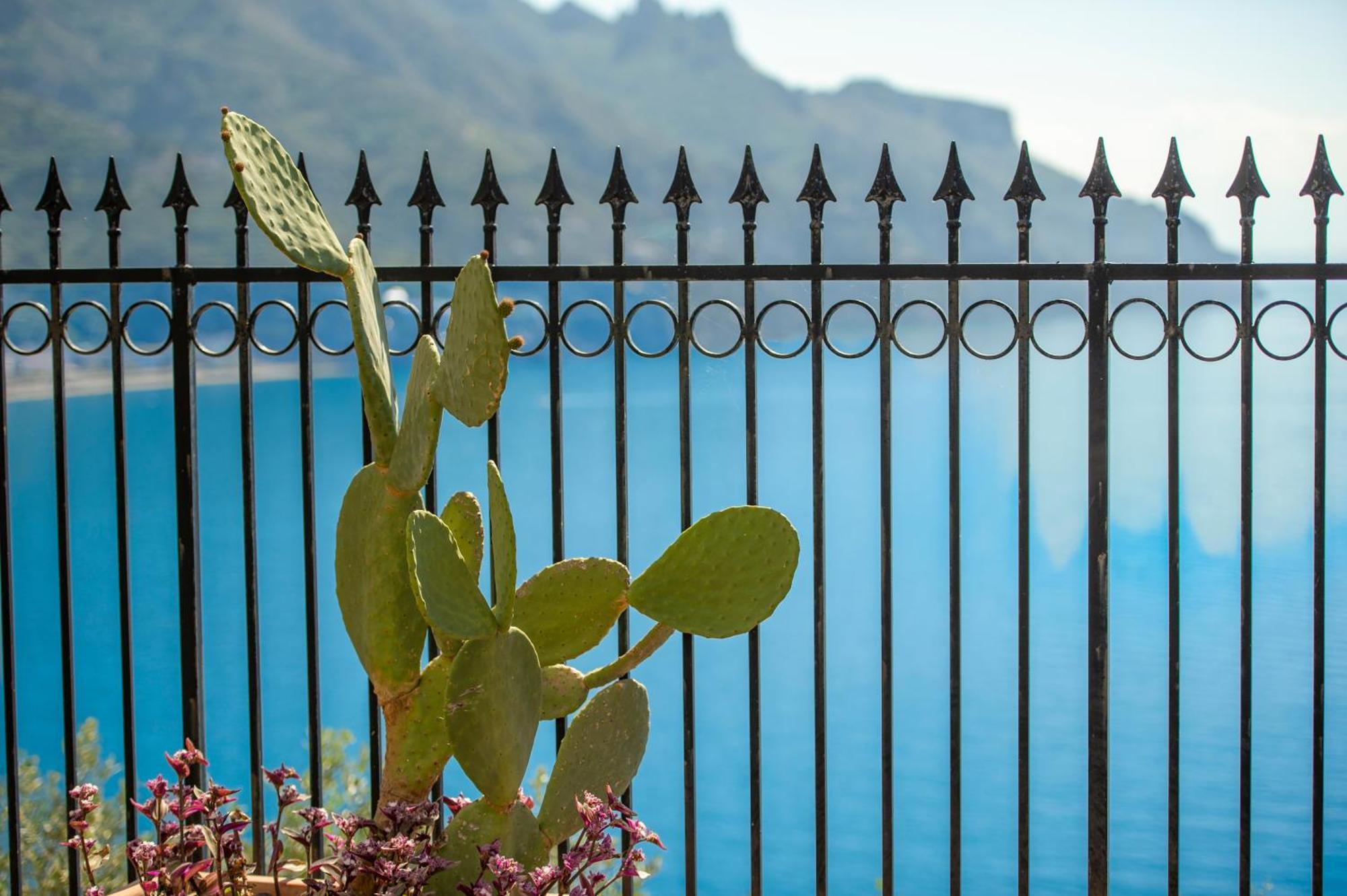 Villa Il Lupo Felice Ravello Dış mekan fotoğraf